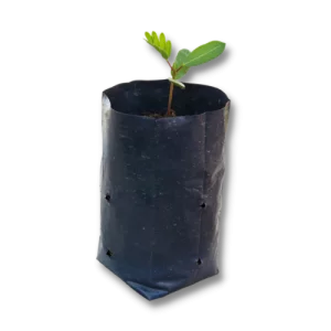 Productos Plásticos para Agroindustria y Jardinería - San Pedro Sula